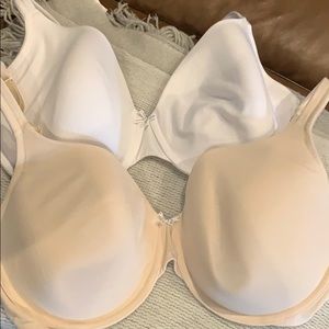 Pair of t shirt bras
